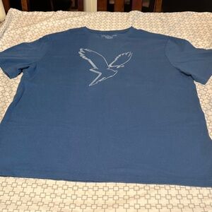 American Eagle Outfitters Blue T-shirt